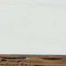 Ryandale Console Sofa Table - MKH Liquidation & Surplus (Cleveland, OH)